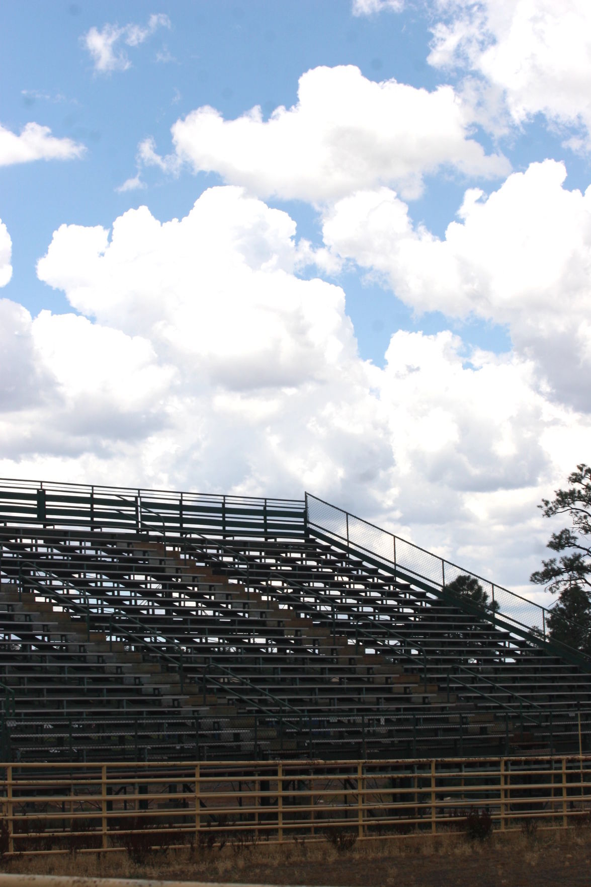 Rodeo stands